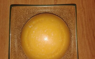 🌷 🌱 SPEICK Naturkosmetik Wellness Soap Sanddorn & Orange