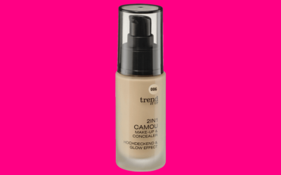 trend IT UP 2in1 Camou Make-up & Concealer 006